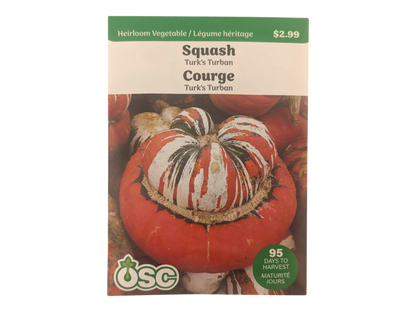 Squash Turk's Turban