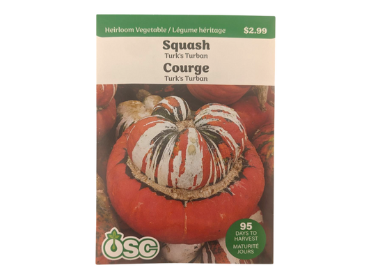 Squash Turk's Turban