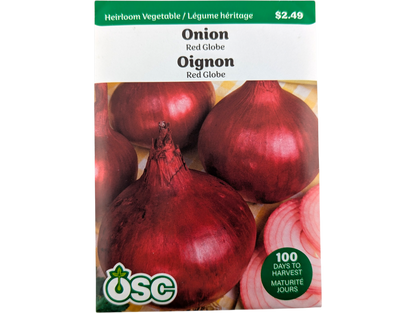 Onion Red Globe