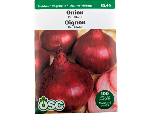 Onion Red Globe