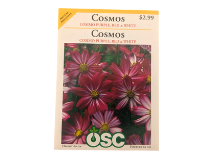 Cosmos Cosimo Purple, Red, & White