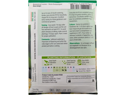 Sweet Corn Peaches & Cream Early