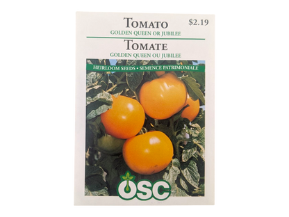 Tomato Golden Queen or Jubilee