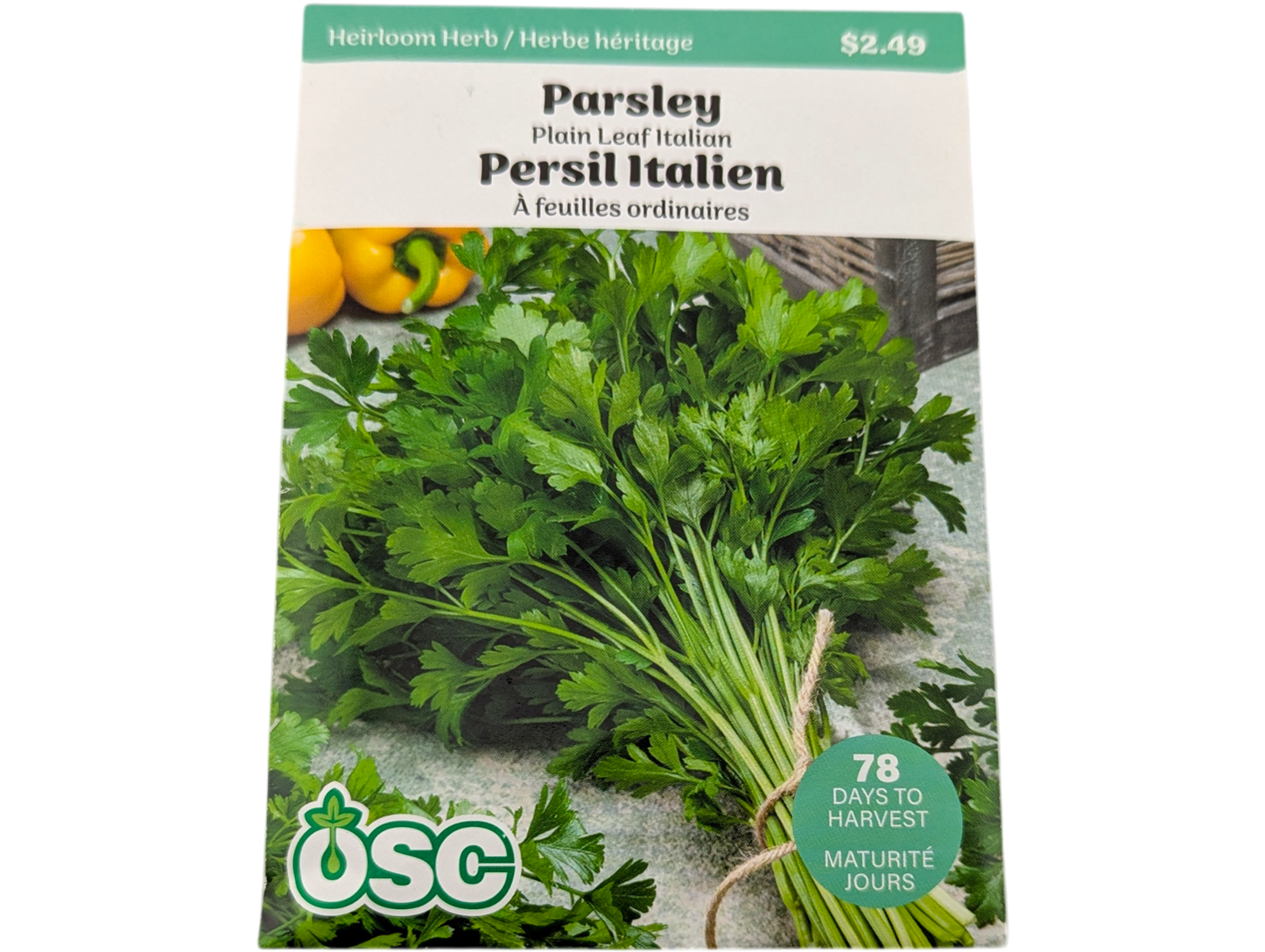 Parsley Plain Leaf Italian