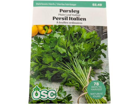 Parsley Plain Leaf Italian