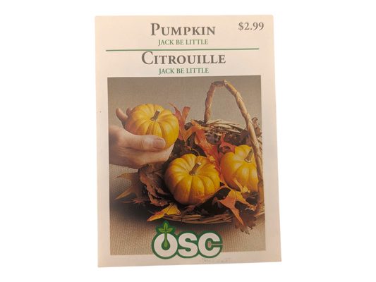 Pumpkin Jack Be Little