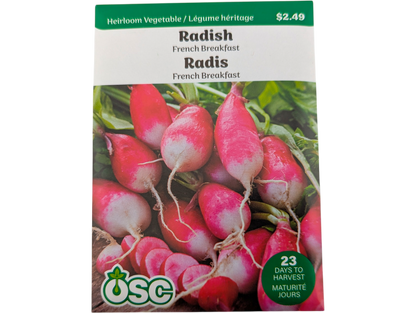 Radish French Breakfast