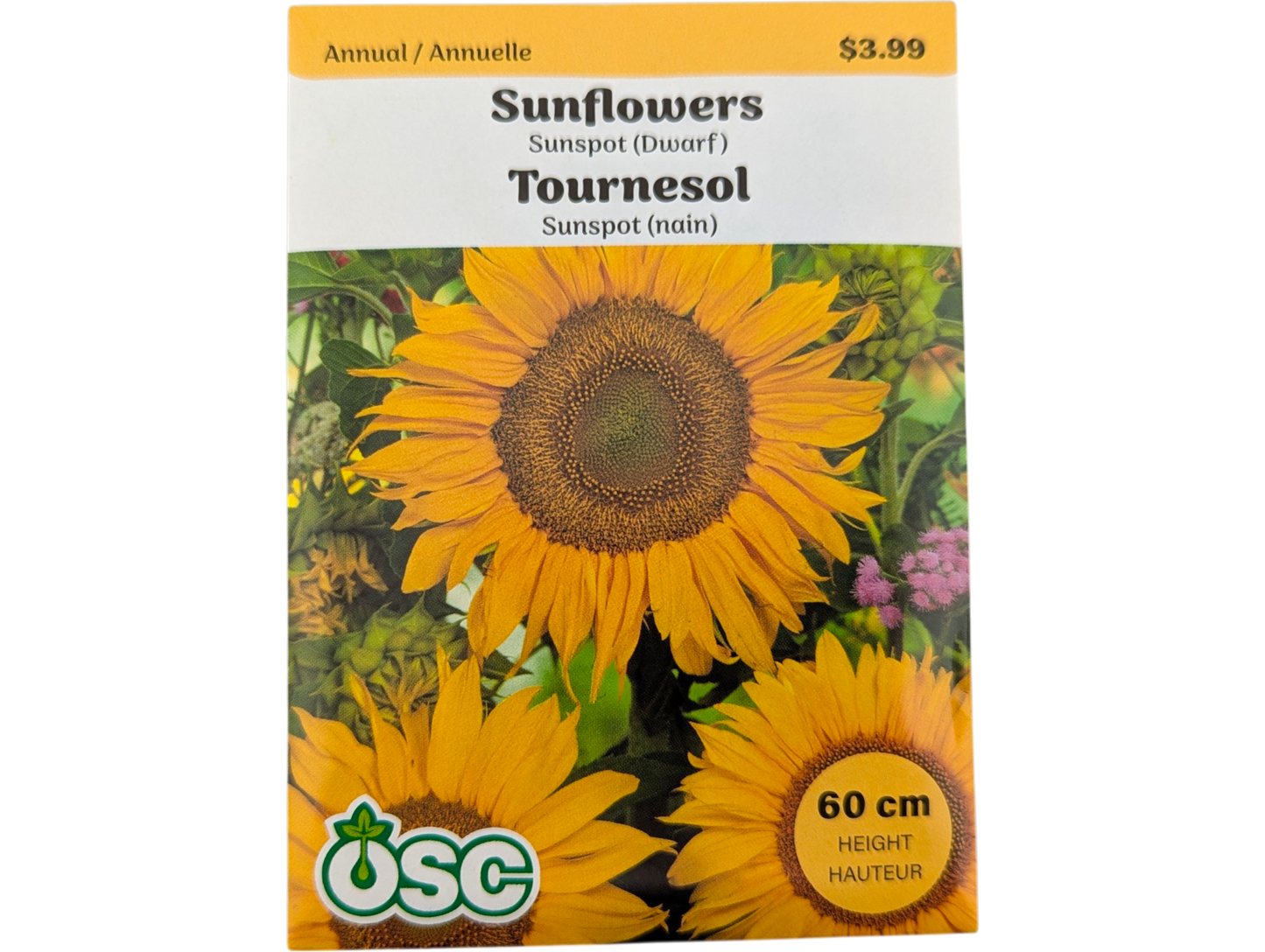 Sunflowers Sunspot (Dwarf)