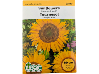 Sunflowers Sunspot (Dwarf)