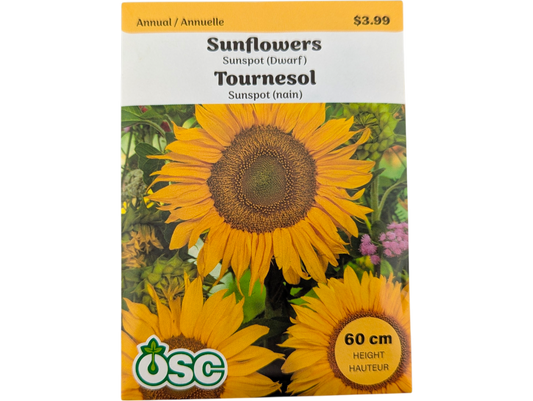 Sunflowers Sunspot (Dwarf)