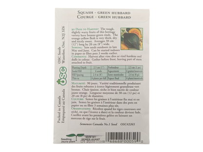 Squash Green Hubbard