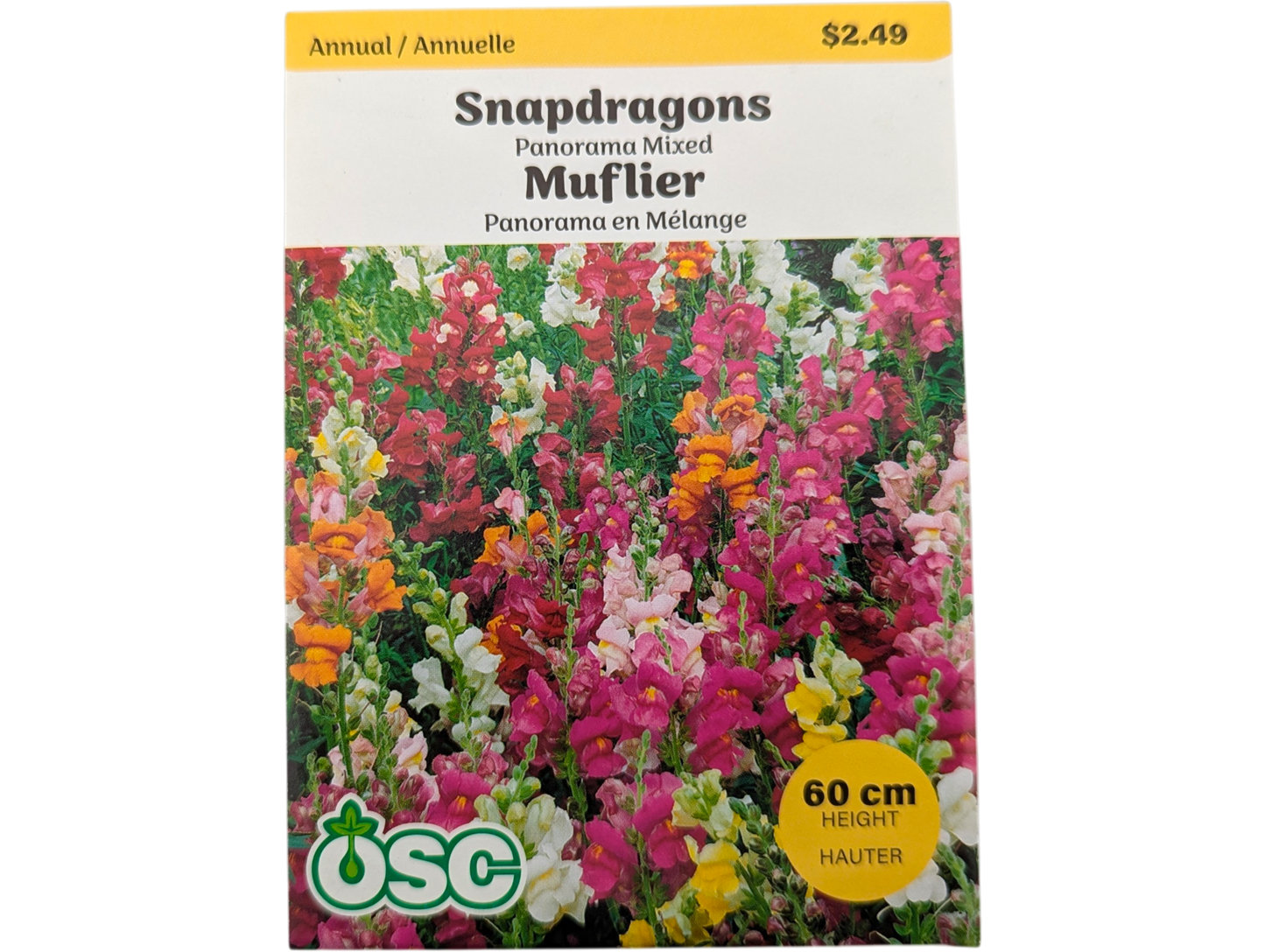 Snapdragon Panorama Mixed Colours