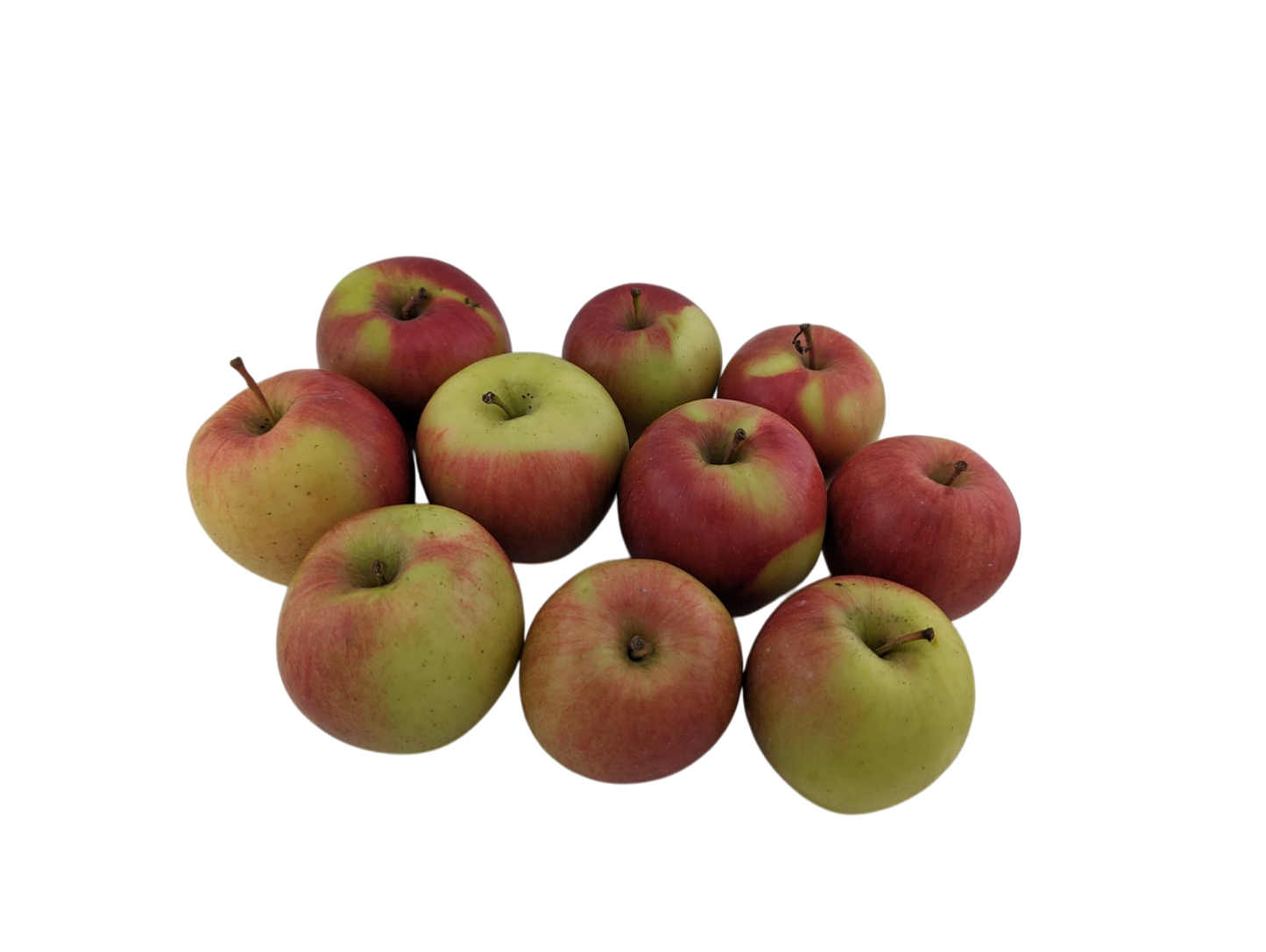 Ambrosia Apples - 3Lb bag