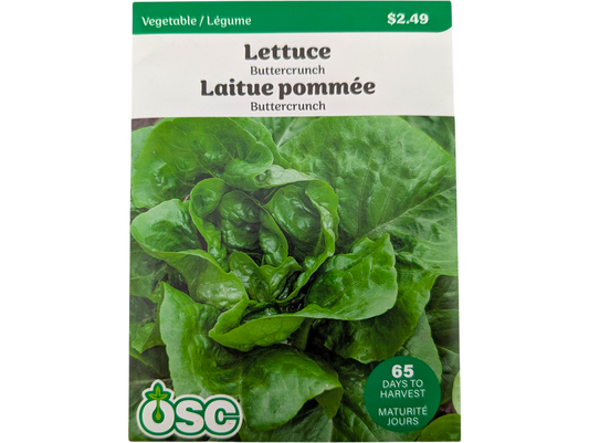 Lettuce Buttercrunch