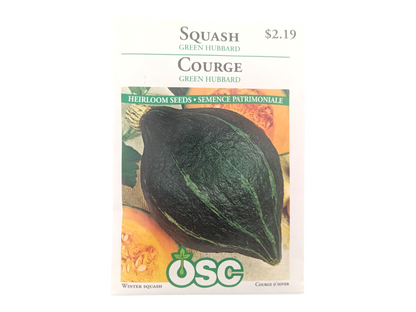 Squash Green Hubbard