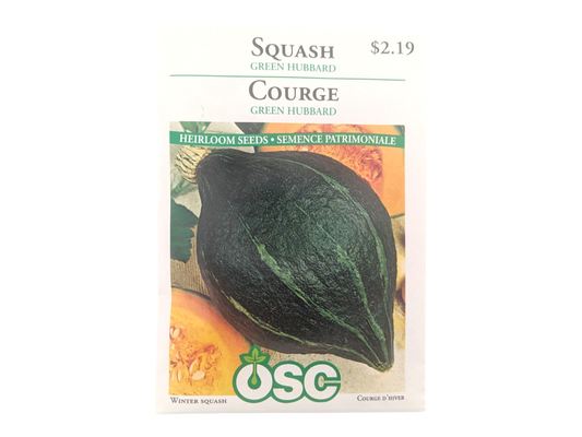 Squash Green Hubbard