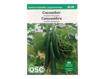 Cucumber English Telegraph