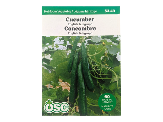 Cucumber English Telegraph