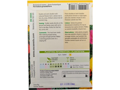 Portulaca Double Mixed Colours