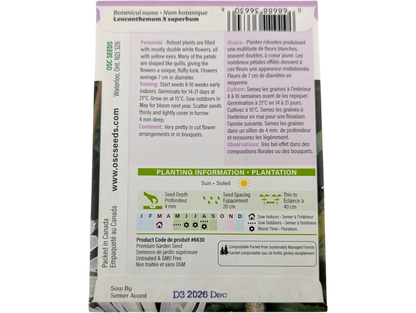 Shasta Daisy Crazy Daisy (Double)