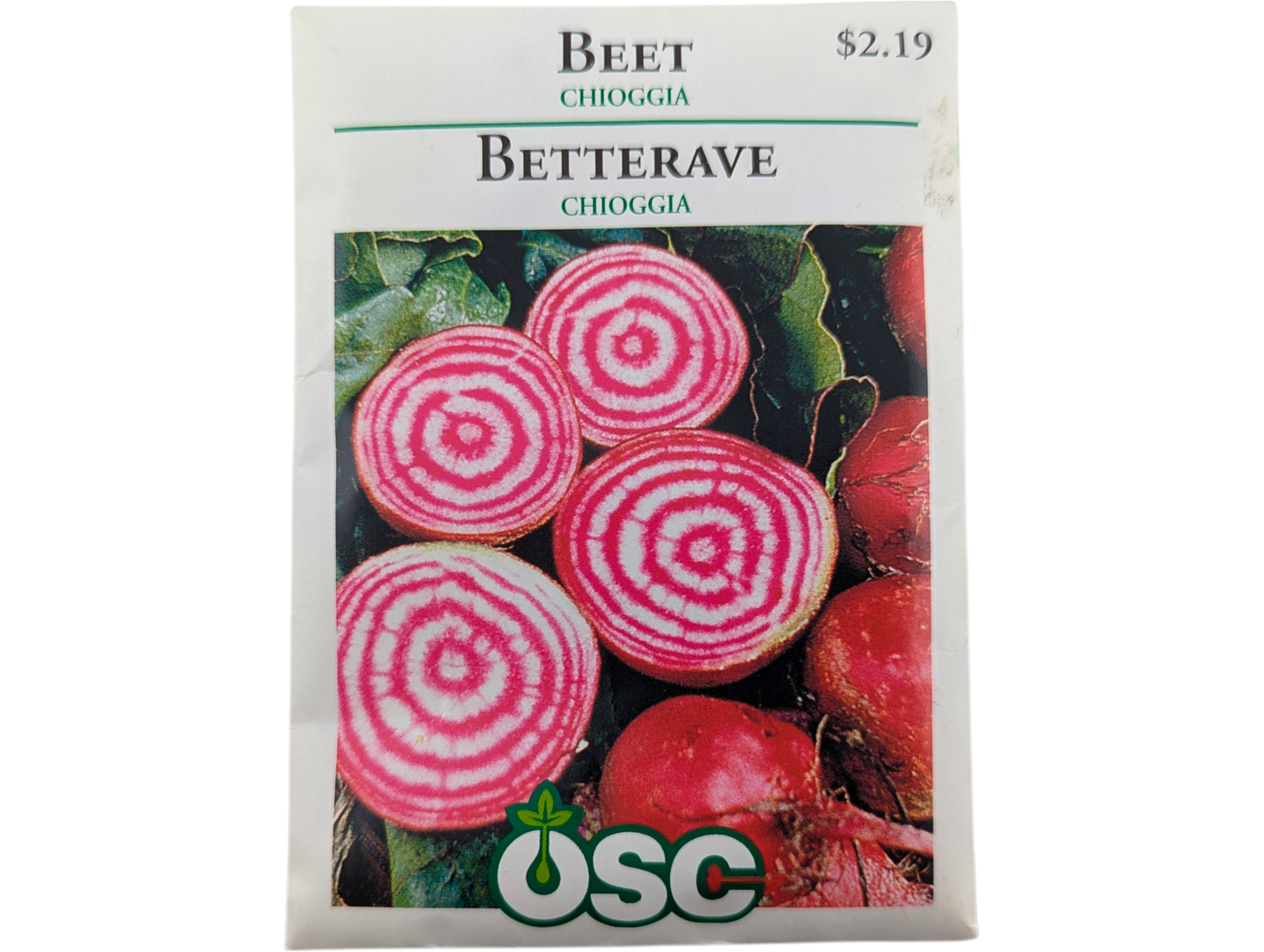 Beet Chioggia