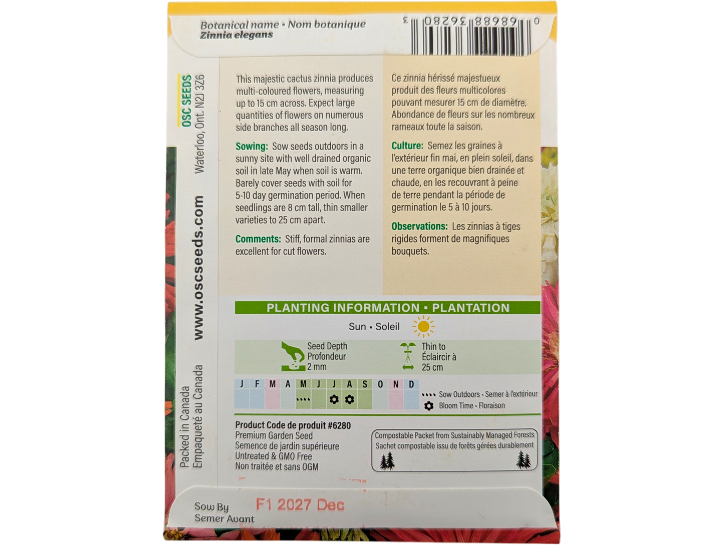 Zinnia Cactus Flowered Mixed Colours