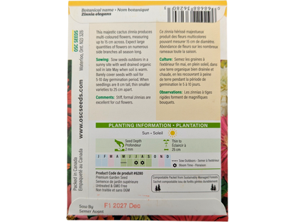 Zinnia Cactus Flowered Mixed Colours