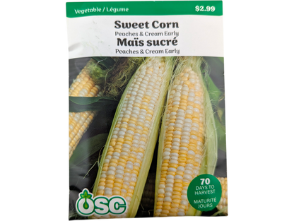 Sweet Corn Peaches & Cream Early