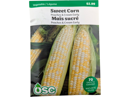 Sweet Corn Peaches & Cream Early