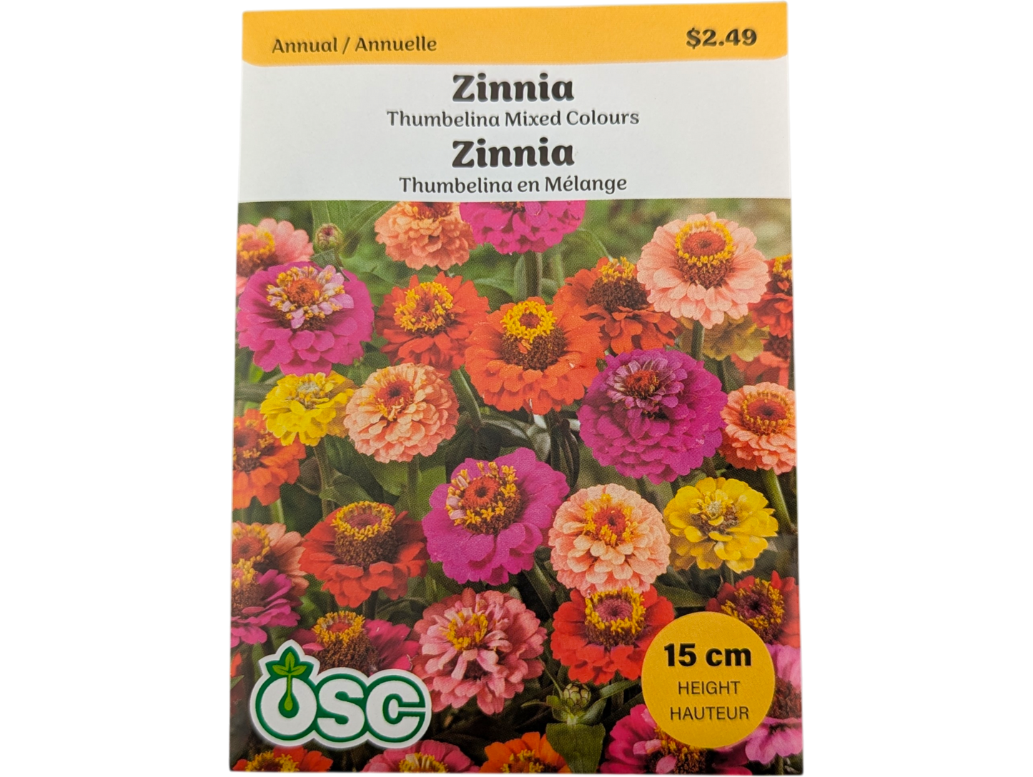 Zinnia Thumbelina Mixed Colours