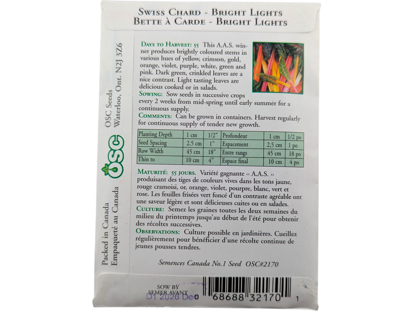 Swiss Chard Bright Lights