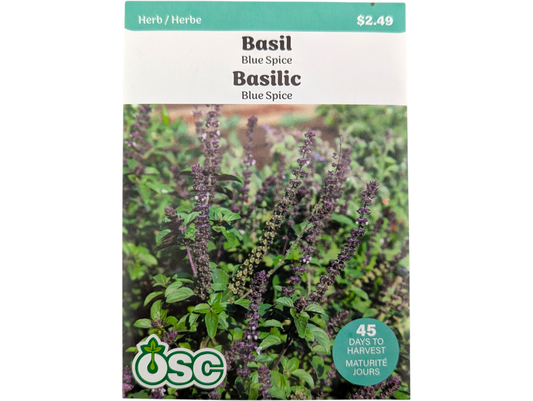 Basil Blue Spice