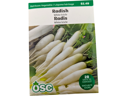 Radish White Icicle
