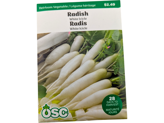 Radish White Icicle