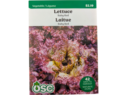 Lettuce Ruby Red