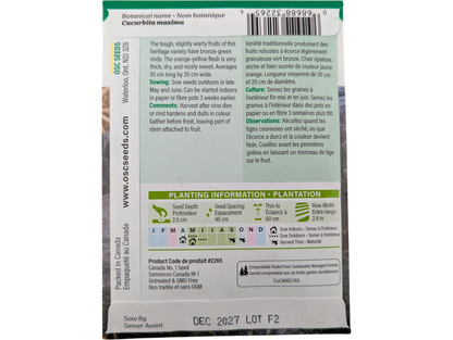 Winter Squash Green Hubbard