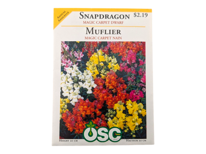 Snapdragon Magic Carpet Dwarf