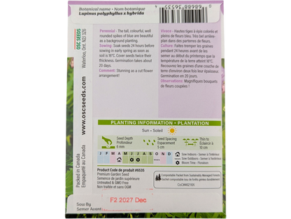 Lupins Russell's Hybrid Blue