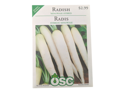 Radish Minowase Hybrid