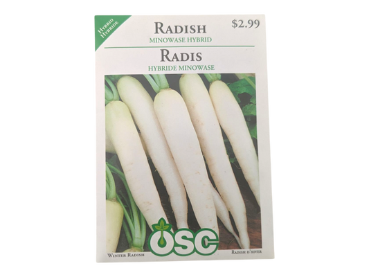 Radish Minowase Hybrid