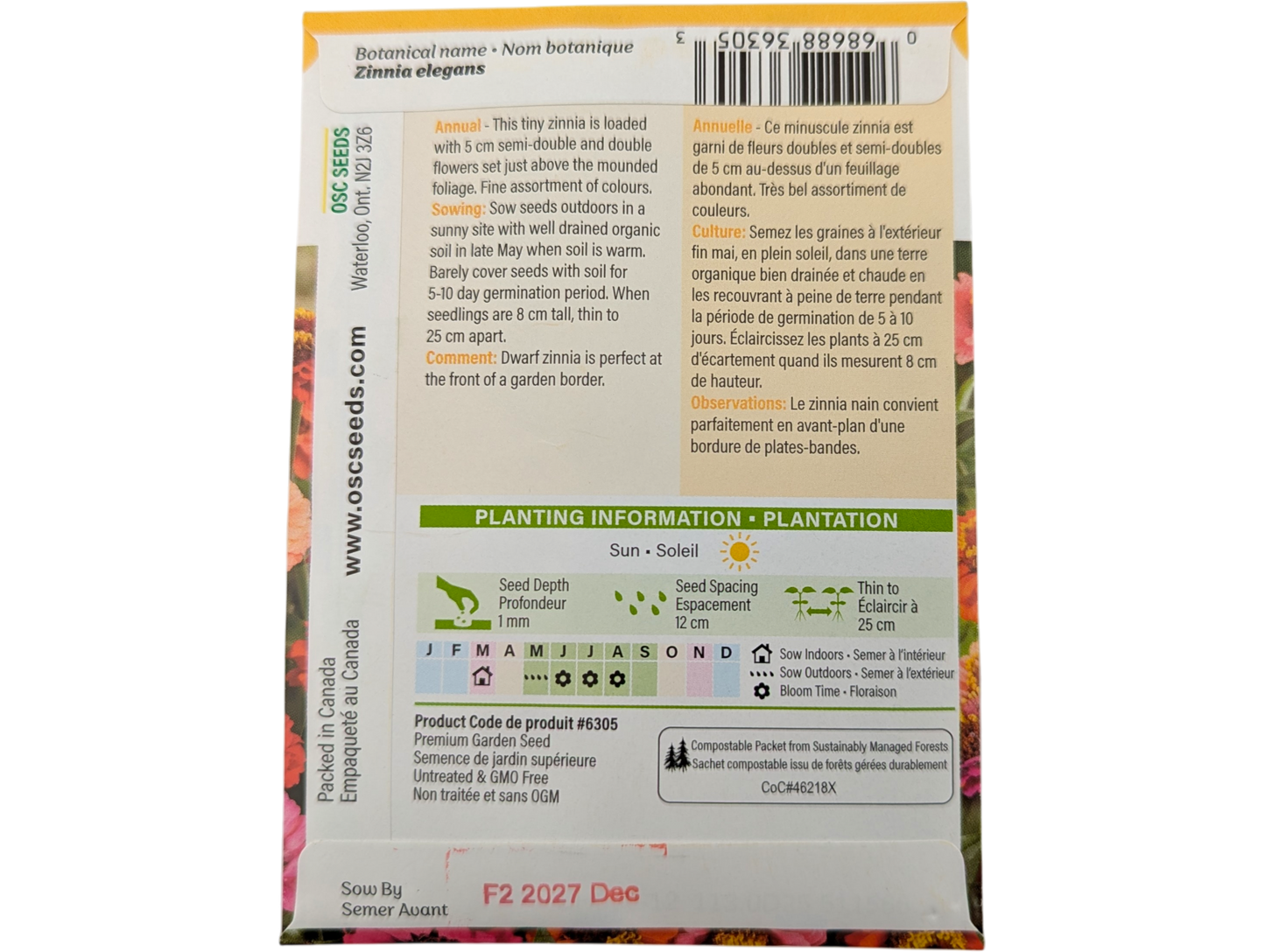 Zinnia Thumbelina Mixed Colours