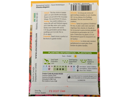 Zinnia Thumbelina Mixed Colours