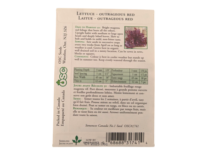 Lettuce Outrageous Red