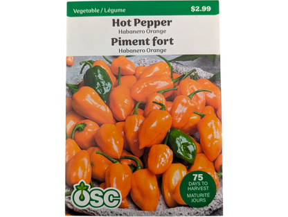 Hot Pepper Habanero Orange