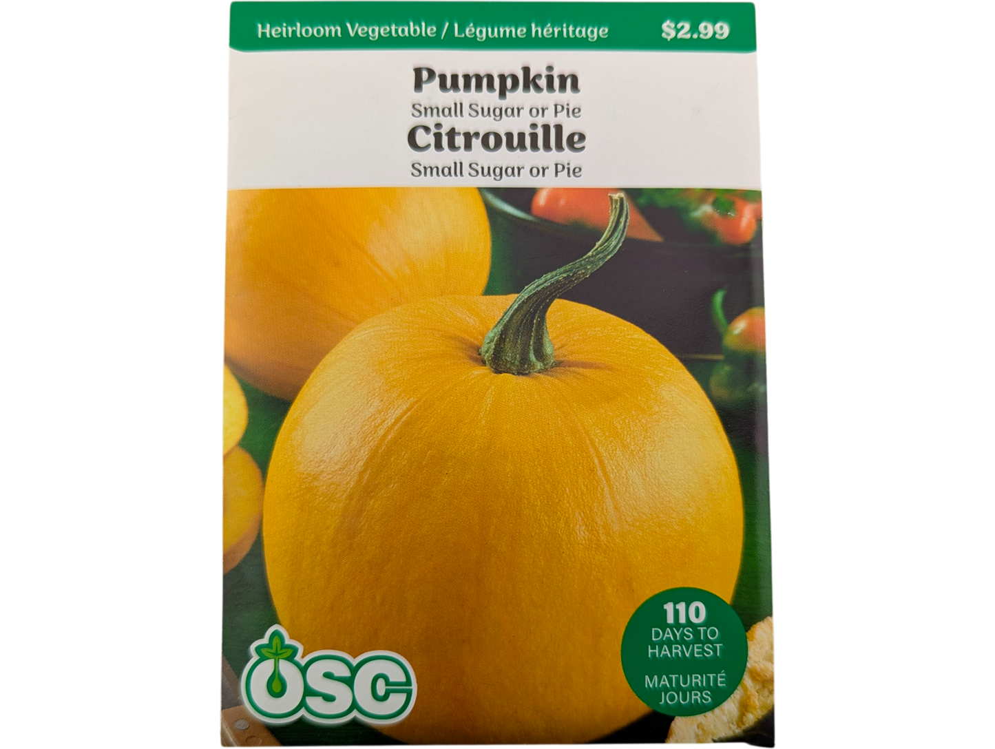 Pumpkin Small Sugar or Pie