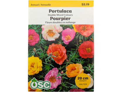 Portulaca Double Mixed Colours