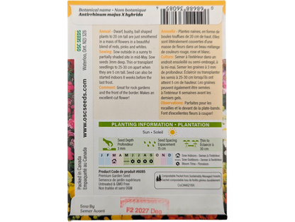 Snapdragon Magic Carpet Dwarf