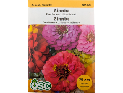 Zinnia Pom Pom or Lilliput Mixed