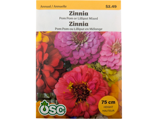 Zinnia Pom Pom or Lilliput Mixed