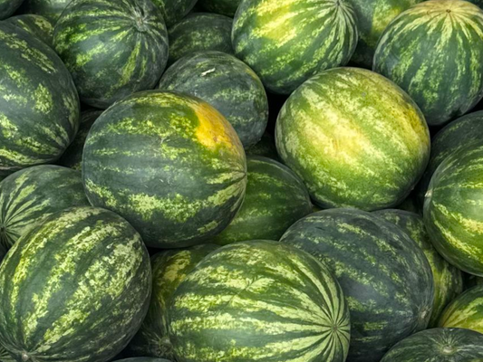 Local Sugar Baby Watermelon